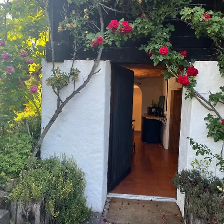 Apartment Charming Alps Perfect For Walk/cycle/ski Eschenbach