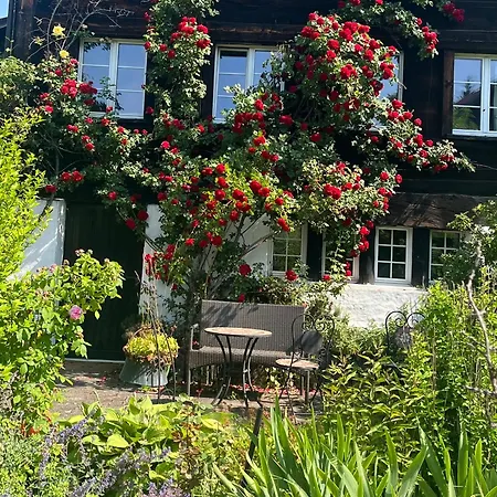 Charming Alps Perfect For Walk/cycle/ski