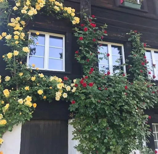 Charming Alps Perfect For Walk/cycle/ski *