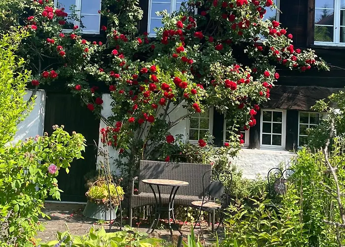 Charming Alps Perfect For Walk/cycle/ski