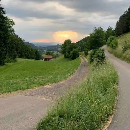 Charming Alps Perfect For Walk/cycle/ski Apartamento Eschenbach